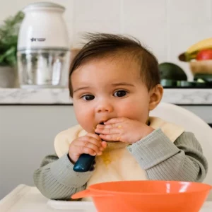 Tommee Tippee Mini Mixeur Quick Chop – Image 2